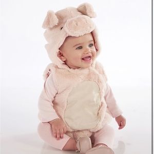 Potter Barn Kids costume pig